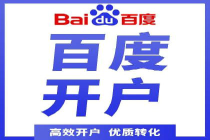 SEM服务案例：打造行业领先品牌